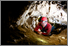 [thumbnail of DSC_4189.jpg]