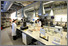 [thumbnail of Fire Lab.jpg]