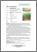 [thumbnail of Flyer for the book]