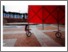 [thumbnail of Version of Record [Photographs of the People's Canopy in HK 2016 Urbanism Architecture Biennale]]