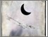 [thumbnail of Low Resolution Scan]