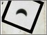 [thumbnail of Low Resolution Scan]