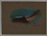 [thumbnail of Low resolution scan]