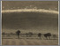 [thumbnail of Low resolution scan]