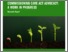 [thumbnail of Version of record]