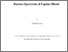 [thumbnail of Thesis document]