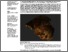 [thumbnail of Version of Record]