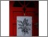 [thumbnail of Photos of the twentyfourzero project]