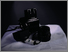 [thumbnail of Image from Photographic Still Life series]