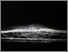 [thumbnail of Harmonious constituents]