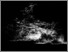 [thumbnail of The Waste]