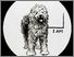 [thumbnail of Low resolution scan of positive glass lantern slide]