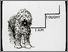 [thumbnail of Low resolution scan of positive glass lantern slide]