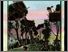 [thumbnail of Low resolution scan of positive glass lantern slide]