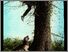 [thumbnail of Am Police Dog that Searches for Poachers]