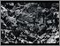 [thumbnail of Low resolution scan of positive glass lantern slide]