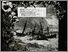 [thumbnail of Low resolution scan of positive glass lantern slide]