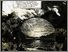 [thumbnail of Low resolution scan of positive glass lantern slide]