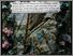 [thumbnail of Low resolution scan of positive glass lantern slide]