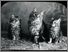 [thumbnail of Low resolution scan of positive glass lantern slide]