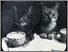 [thumbnail of Low resolution scan of positive glass lantern slide]