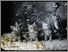 [thumbnail of Low resolution scan of positive glass lantern slide]