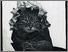[thumbnail of Low resolution scan of positive glass lantern slide]