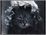 [thumbnail of Low resolution scan of positive glass lantern slide]