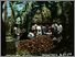 [thumbnail of Low resolution scan of positive glass lantern slide]