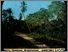 [thumbnail of Low resolution scan of positive glass lantern slide]