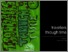 [thumbnail of Travellers Through Time Young People's E Book]