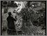 [thumbnail of Low resolution scan of positive glass lantern slide]
