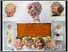[thumbnail of Low resolution scan of positive glass lantern slide]