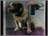 [thumbnail of Low resolution scan of positive glass lantern slide]