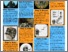 [thumbnail of Conference presentation poster 2]