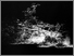 [thumbnail of The Waste]