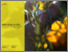 [thumbnail of Field Review Report]