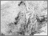 [thumbnail of Cognitive Surveillance]