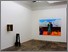 [thumbnail of Installation shot]