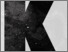 [thumbnail of The Big K  photo book with poems  © All rights reserved]