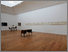 [thumbnail of Photo documentation of the install in Newlyn (Photography by Steve Tanner)]