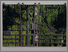 [thumbnail of Boulevard Anfa, by Magda Stawarska-Beavan, Exhibition at Newlyn Art Gallery (Photography by Steve Tanner)]