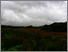 [thumbnail of Wetland walk and talk]