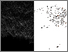 [thumbnail of Technological Perceptions of Wetlands.]