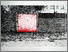 [thumbnail of Joan Harrison Pen & Ink on Paper 28x18cm]