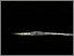 [thumbnail of Sedimental Shelf]