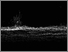 [thumbnail of Inter tidal connections - etching]