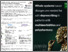 [thumbnail of Conference poster]