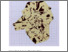 [thumbnail of Version of Record]