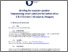 [thumbnail of Briefing for keynote speaker Empowering smart solutions for better cities]